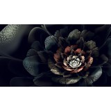 София Кондратьева