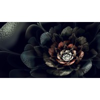 София Кондратьева