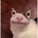 Артем Волков