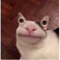 Артем Волков