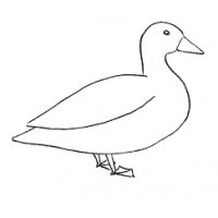 Александр Гусев