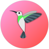 Александр Штефан