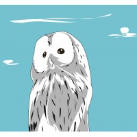 Алексей Кругосветов