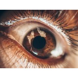 Алла Позднякова