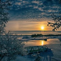 Анастасия Цмыг