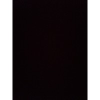 Анастасия Майорова