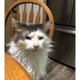 Анастасия Пенкина