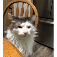 Анастасия Пенкина