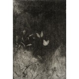 Анастасия Трубилова