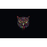 Андрей Коломиец