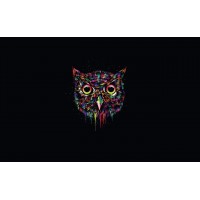 Андрей Коломиец