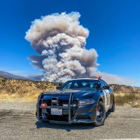 Антон Ежевский