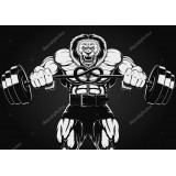 Антон Корчагин