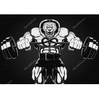 Антон Корчагин