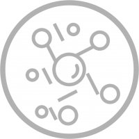 Антон Питишкин