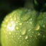 Армен Буров