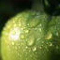 Армен Буров