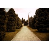 Арсул Нурахунов