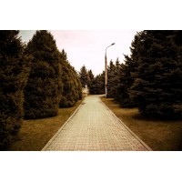 Арсул Нурахунов