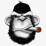 Артём Шитов