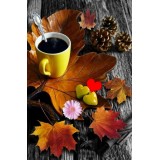 Дарья Пираева