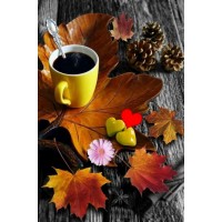 Дарья Пираева