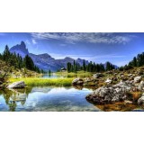 Дмитрий Тарасов