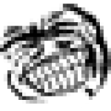 Дмитрий Типугин