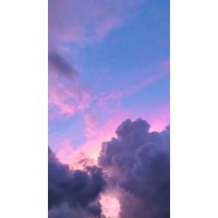 Екатерина Гашева