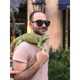 Гариб Хачатрян