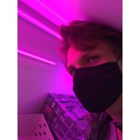 Илья Евдокимов