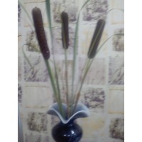 Инна Гордеева