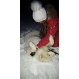 Ирина Лобанова