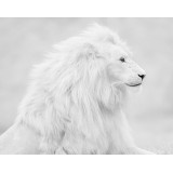 Ярослав Тарабукин