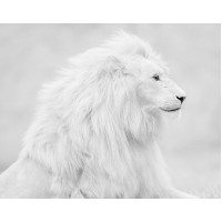 Ярослав Тарабукин