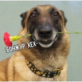 Кирилл Мировский