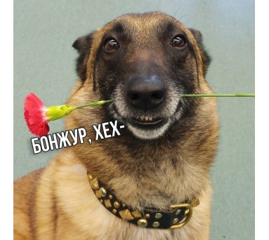 Кирилл Мировский