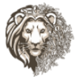 Компания ЛИДЕР ГРУПП