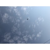 Екатерина Крестина