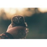 Ксения Искакова