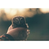 Ксения Искакова