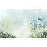 Ксения Наумова