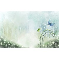 Ксения Наумова