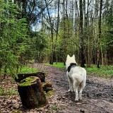 Марина Митасова