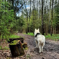 Марина Митасова