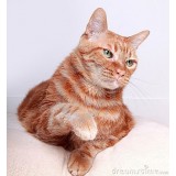 Олег Мельник