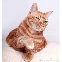 Олег Мельник