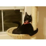 Ольга Долматова