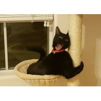 Ольга Долматова