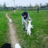 Паша Ковтун